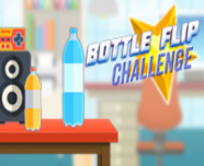 Bottle Flip Challenge