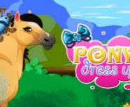 PONY DRESS UP