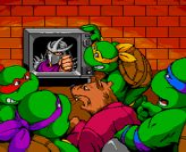 Teenage Mutant Ninja Turtles: Turtles in Time