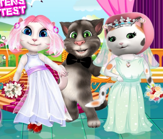 white kittens bride contest