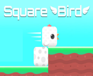 Square Bird