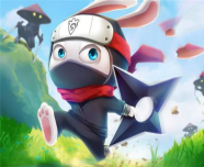 ninja rabbit