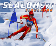 Slalom Ski Simulator